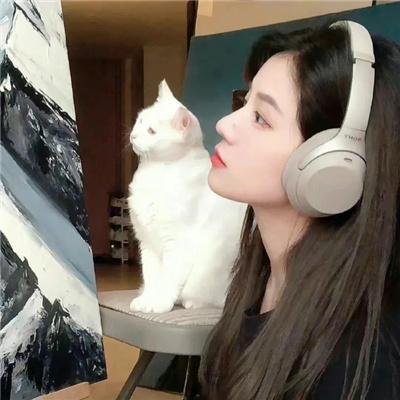 早安总统