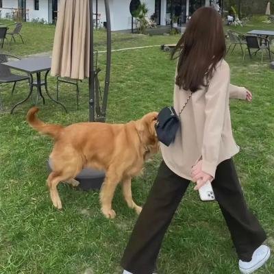 沉默的孩子